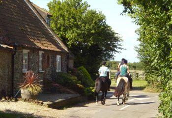 Horses in Westgate, Holme-next-the-Sea
